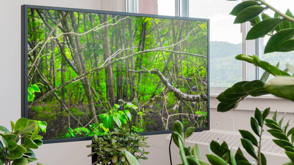 Can LED TVs Be Used Outdoors?